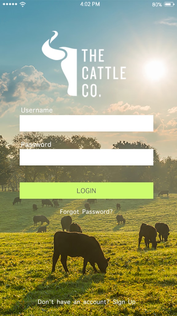 The Cattle Company — login screen